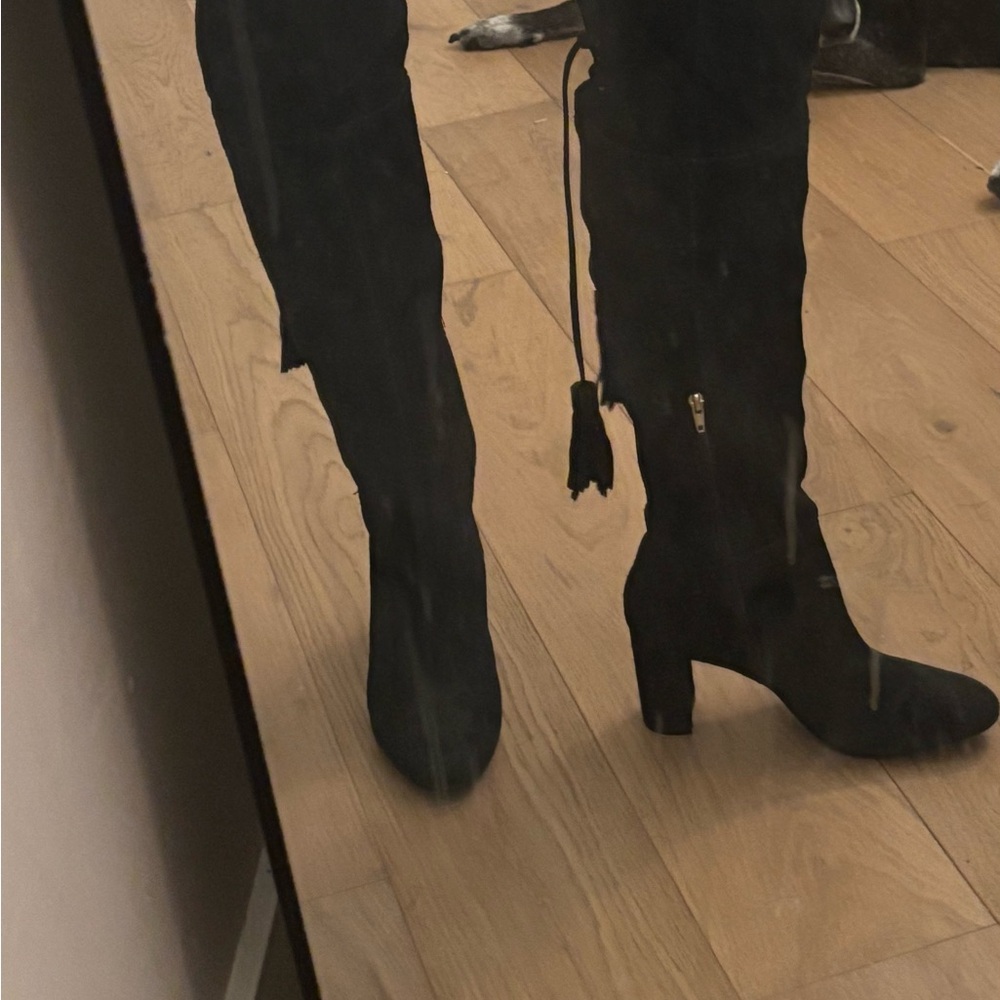 Klub Nico over the knee black suede boots